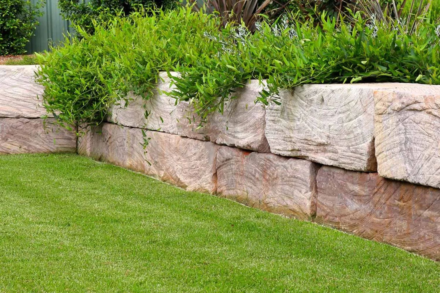 Sandstone block retaining wall with feature garden planting